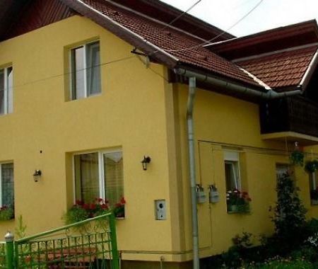 Pensiunea Bio Coltău Exterior foto
