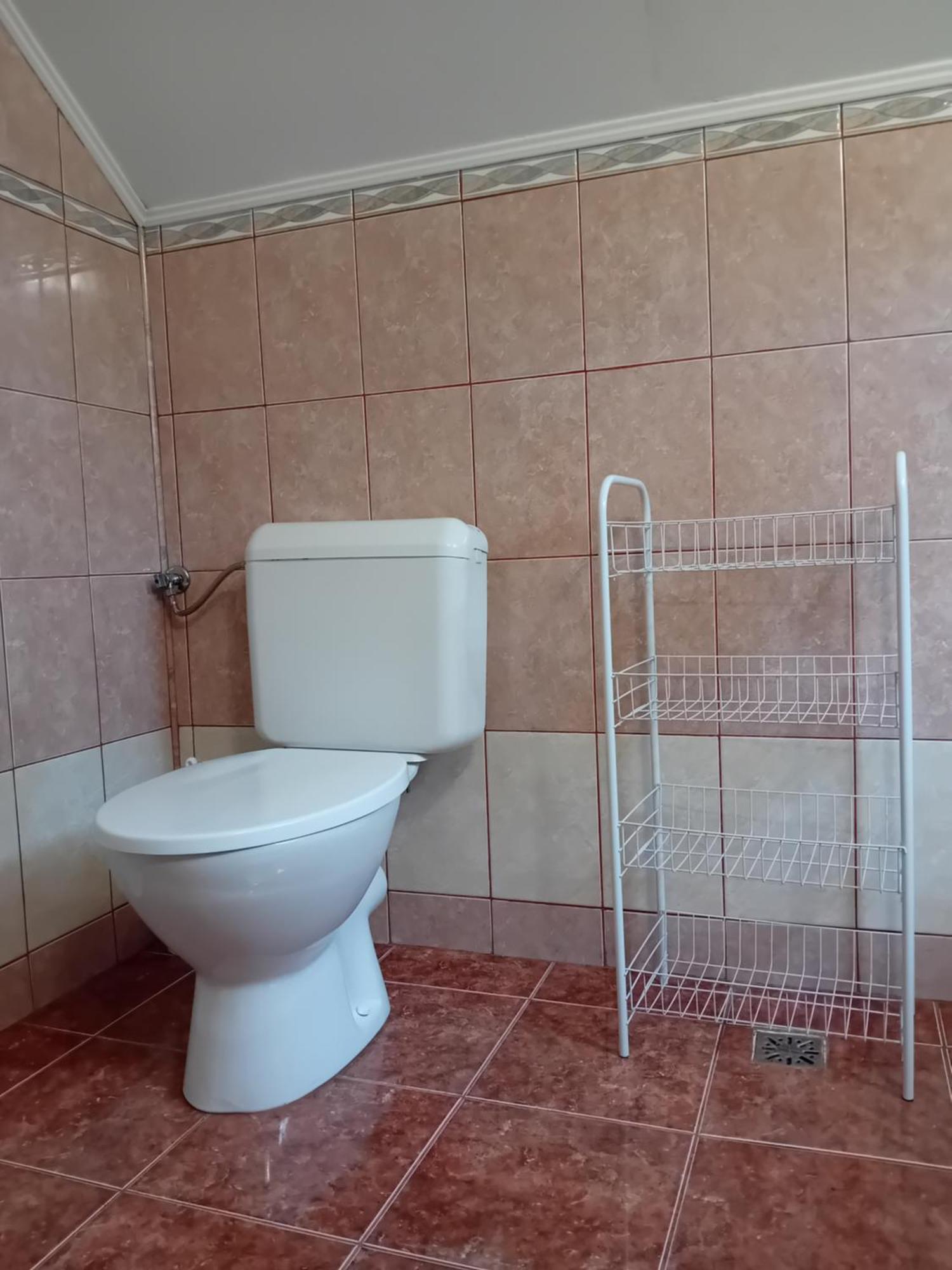 Pensiunea Bio Coltău Exterior foto
